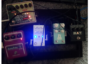 Electro-Harmonix Deluxe Memory Man 550-TT (1630)