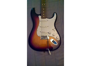 Fender Standard Stratocaster [2009-Current] (4811)