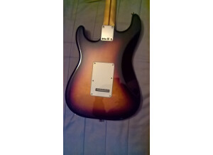 Fender Standard Stratocaster [2009-Current] (78537)
