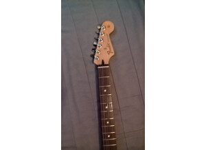 Fender Standard Stratocaster [2009-Current] (64064)
