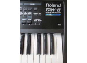 Roland GW-8E V2 (24024)