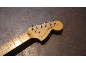 Fender American Special Stratocaster [2010-current] (56709)