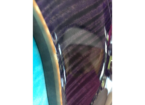 PRS Custom22 Artist Package (14).JPG