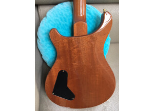 PRS Custom22 Artist Package (17)