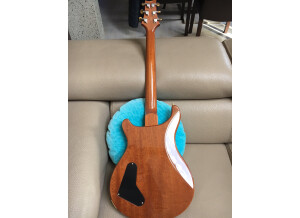 PRS Custom22 Artist Package (18)
