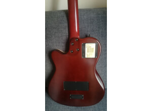 Godin Encore Nylon (86886)