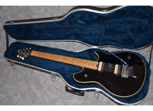 Peavey EVH Wolfgang (54348)