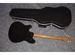 Peavey EVH Wolfgang (65398)