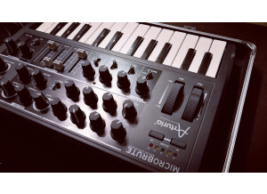 Arturia MicroBrute (64142)