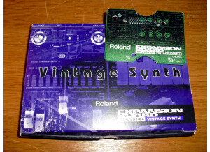 Roland SR-JV80-04 Vintage Synthesizer (14648)