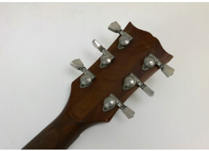 Gibson SG Firebrand (44811)