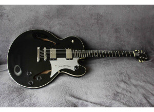 Gibson Chet Atkins Tennessean (43064)