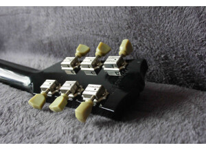 Gibson Chet Atkins Tennessean (24953)