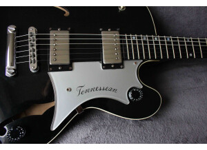 Gibson Chet Atkins Tennessean (55879)