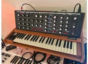 Moog Music Minimoog Voyager Old School (40013)