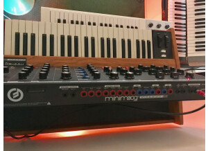 Moog Music Minimoog Voyager Old School (99796)