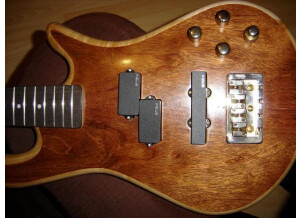 Spector Pro Legend 4 (11780)