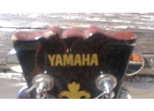 Yamaha SG500B