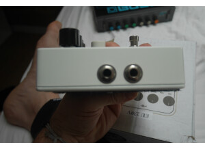 Electro-Harmonix Mel9 Tape Replay Machine (70834)