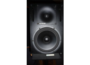 Genelec 1031A (68468)