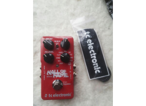 TC Electronic Hall of Fame Reverb (87666)
