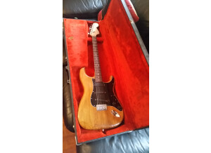Fender Stratocaster Hardtail [1973-1983] (4286)
