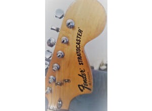 Fender Stratocaster Hardtail [1973-1983] (41059)