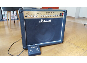 Marshall DSL401 (13798)