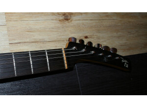 Parker Guitars P-38 (87146)