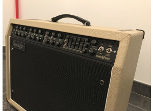 Mesa Boogie Mark V Combo (67654)