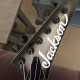 Pro Rhoads RRTMG Pro Rhoads RRTMG