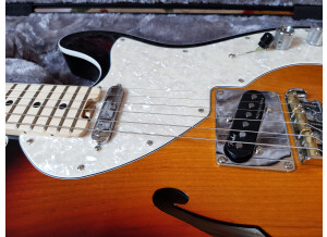 Fender American Elite Telecaster Thinline (31540)