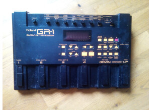 Roland GR-1 (74429)