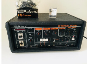 Roland RE-501 Chorus Echo (25345)