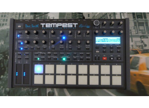 Dave Smith Instruments Tempest (84237)