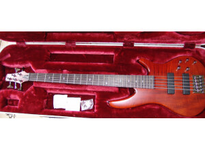 Ibanez SoundGear Series - SR-905 CNF 5c