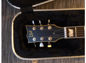 LTD EC-256 - Aged Vintage Gold (99956)