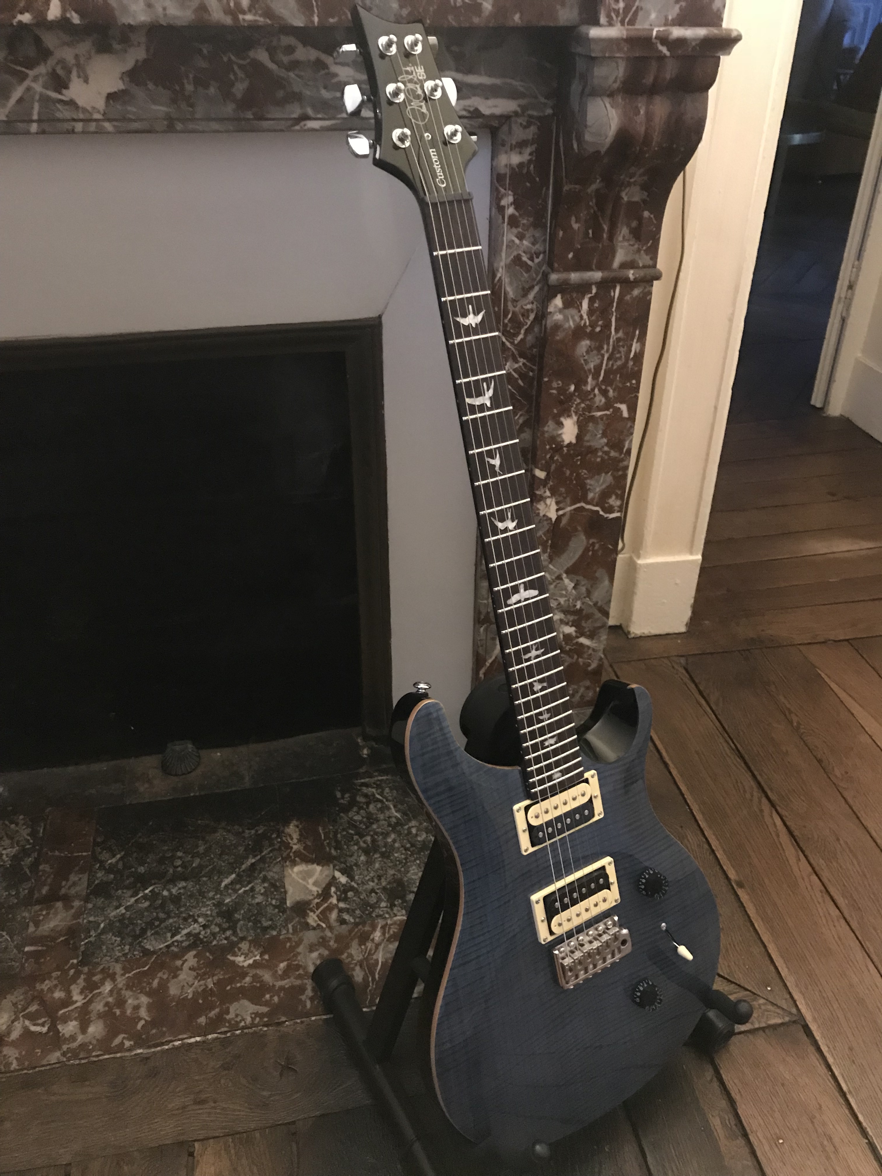 PRS SE Custom 24 (2009)