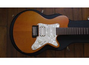 Godin LGT (50277)