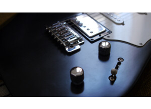 Godin Session (25207)