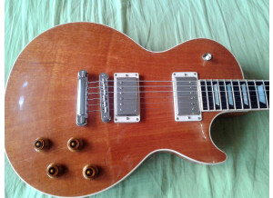 Gibson Les Paul Standard Mahogany Top (84913)