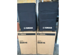 Yamaha DXR15 (21294)