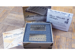 Bare Knuckle Pickups Painkiller (28668)