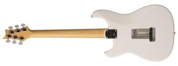 Silver Sky Frost back large Silver Sky Frost back large