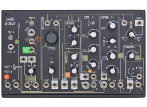 Analogue Systems RS-85 (16829)