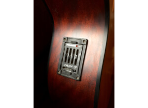 Olympia Guitars OB3CE Acoustic Bass (49901)