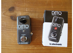 TC Electronic Ditto Looper (62656)