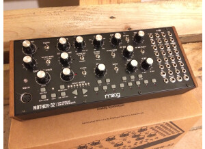 Moog Music Mother 32 (14197)