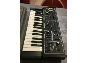 Moog Music Rogue (94615)