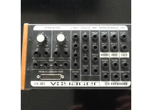 Moog Music VX-351 (4887)